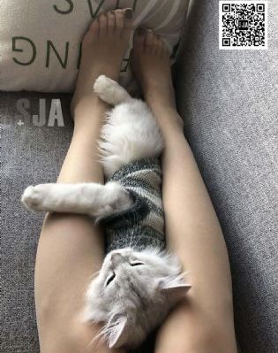 欧美滑板图片女_4K完整版观看