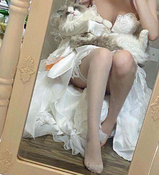 欧美的av怎么搜索种子_720手机在线看