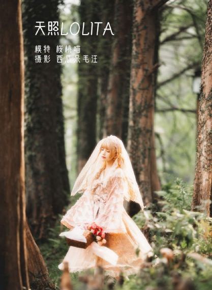 影音资源免费观看最新_高清免费电影观看